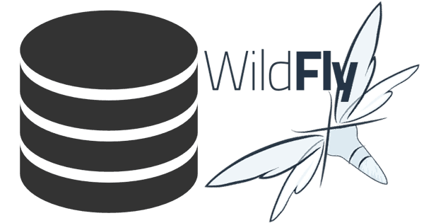 Wildfly datasource logo