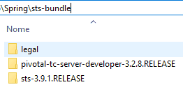 Spring Tools Suite downloaded zip